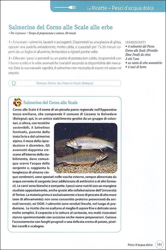 Il pesce - 3