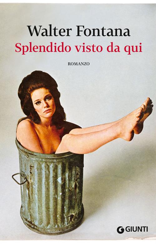 Splendido visto da qui - Walter Fontana - copertina