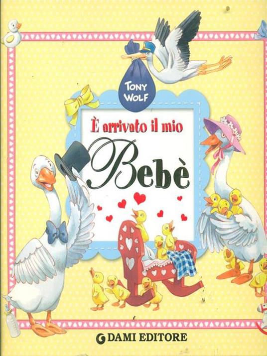 È arrivato il mio bebè - copertina