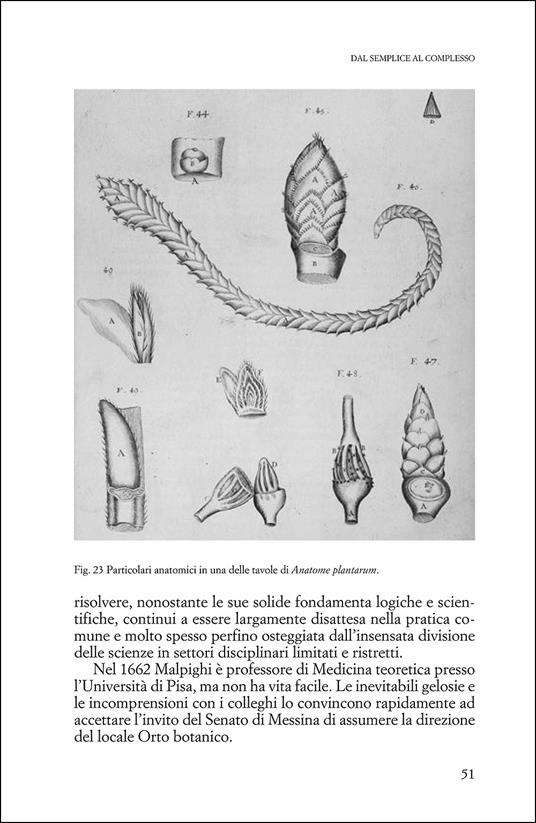 Uomini che amano le piante. Storie di scienziati del mondo vegetale - Stefano Mancuso - 2