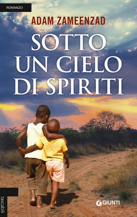 Sotto un cielo di spiriti - Adam Zameenzad - copertina