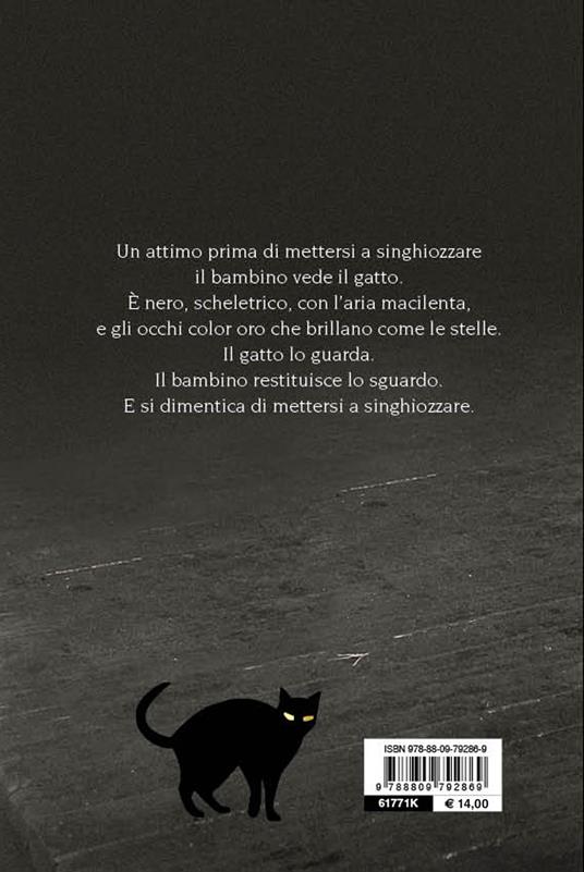 Il gatto dagli occhi d'oro - Silvana De Mari - Libro - Giunti Editore -  Biblioteca Junior