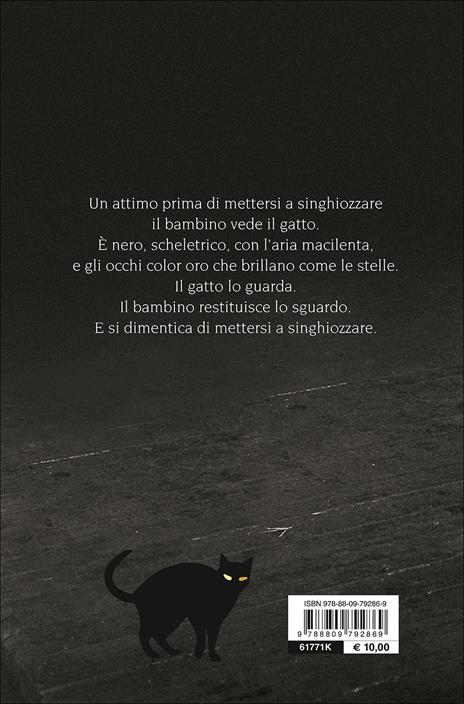 Il gatto dagli occhi d'oro - Silvana De Mari - 7
