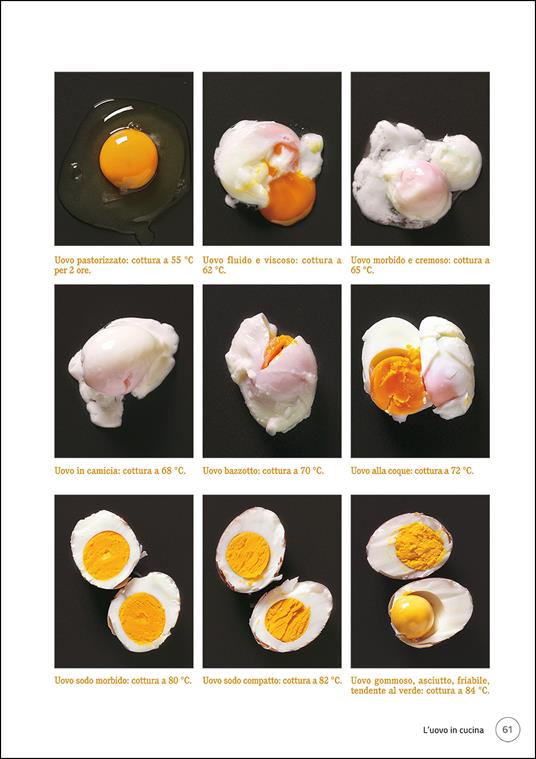 uova coque - uova e frittate - Uova alla coque ricetta