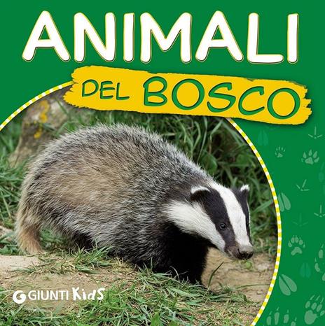 Animali del bosco. Ecco gli animali - Martina Boschi - copertina