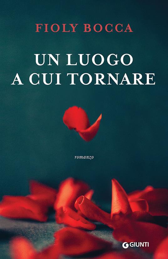 Un luogo a cui tornare - Fioly Bocca - copertina