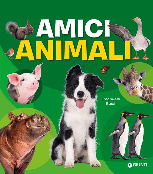 Amici animali. Con adesivi. Ediz. illustrata - Emanuela Busà - copertina