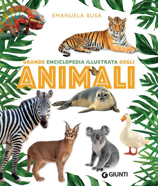 Il Libro degli Animali per Bambini: Enciclopedia Illustrata - 222 Fatti  Interessanti, Curiosità Divertenti e Risposte alle Domande sul mondo  animale.