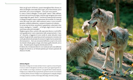 Grande enciclopedia illustrata degli animali - Emanuela Busà - Libro -  Giunti Editore - Animali e natura