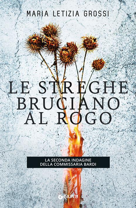 Le streghe bruciano al rogo. La seconda indagine della commissaria Bardi - Maria Letizia Grossi - copertina