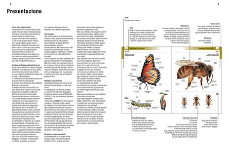 Dizionario visuale. Italiano-inglese - Jean-Claude Corbeil,Ariane Archambault - 3