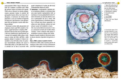 Microbiologia - Cristina Praglia - 2