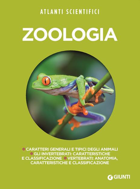 Zoologia - Adriana Rigutti - copertina