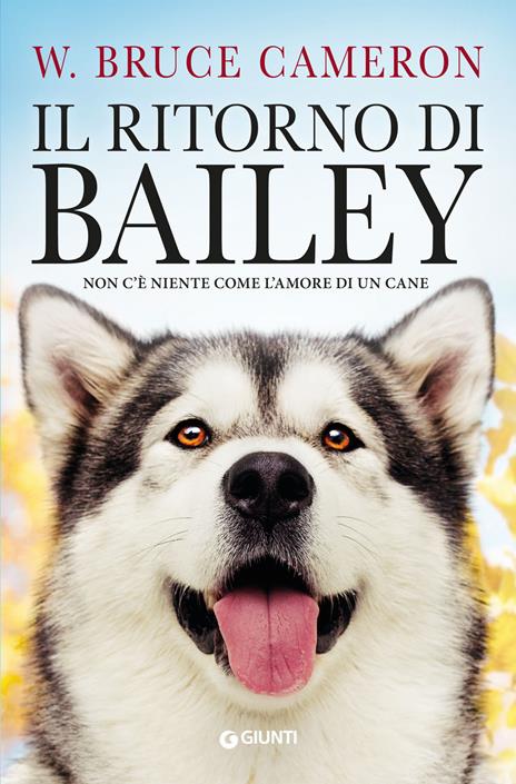 Il ritorno di Bailey - William Bruce Cameron - copertina