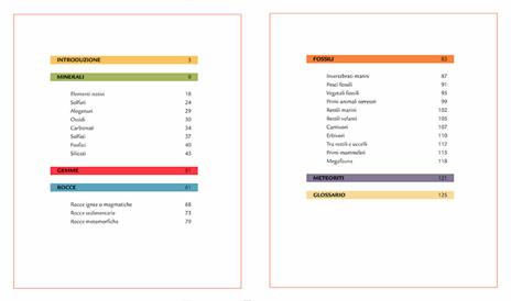 Minerali, gemme, rocce e fossili - Emanuela Busà - 6