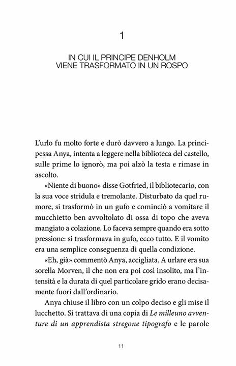 La principessa Baciarospi - Garth Nix - 4