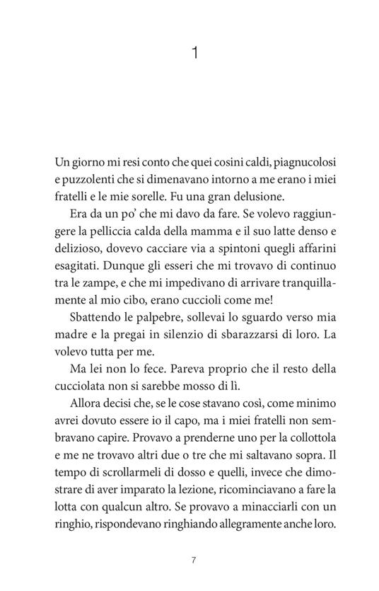 Storia di Bailey - W. Bruce Cameron - 5