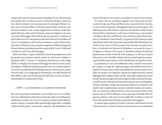 Sulle tracce del Gallo Nero. Chianti Classico. Cento anni di storia - Daniele Cernilli,Paolo De Cristofaro - 2