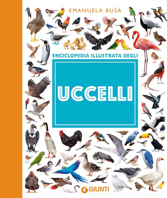 Enciclopedia illustrata degli uccelli - Emanuela Busà - copertina