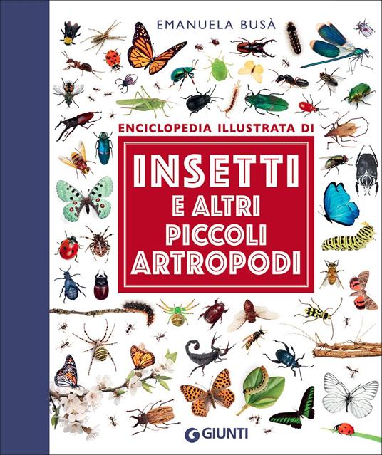 Insetti e altri piccoli artropodi - Emanuela Busà - copertina