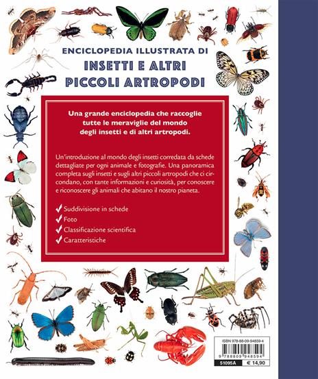 Insetti e altri piccoli artropodi - Emanuela Busà - 2