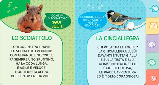 Animali del bosco. Primi suoni - Silvia D'Achille - Libro - Giunti Editore  