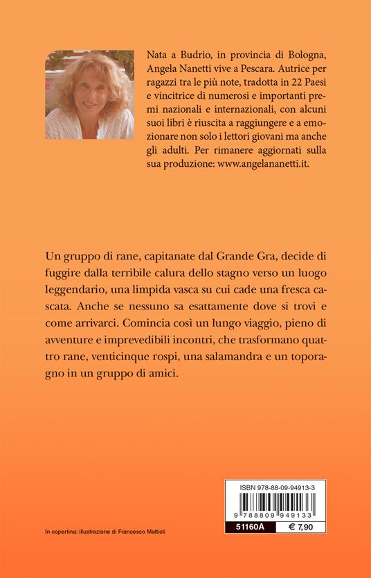 La compagnia della pioggia - Angela Nanetti - 2