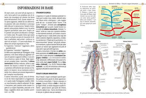 Sistema immunitario - 3