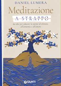 Meditazione a strappo. 60 idee per educare la mente al silenzio, all'armonia e all'amore