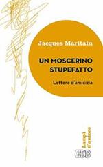 Un moscerino stupefatto. Lettere d'amicizia