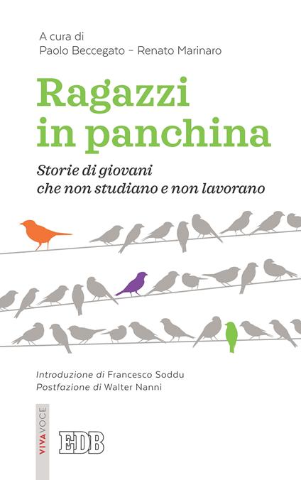 Ragazzi in panchina. Storie di giovani che non studiano e non lavorano - Paolo Beccegato,Renato Marinaro - ebook