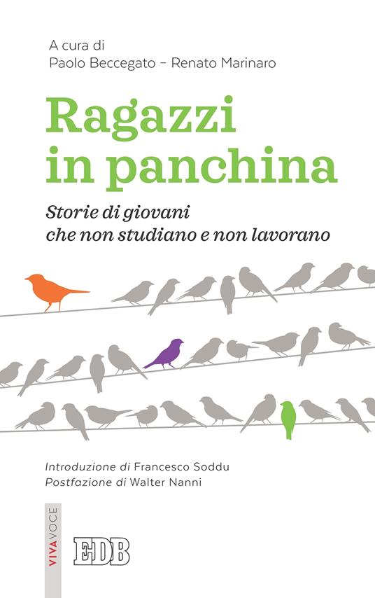 Ragazzi in panchina. Storie di giovani che non studiano e non lavorano - Paolo Beccegato,Renato Marinaro - ebook