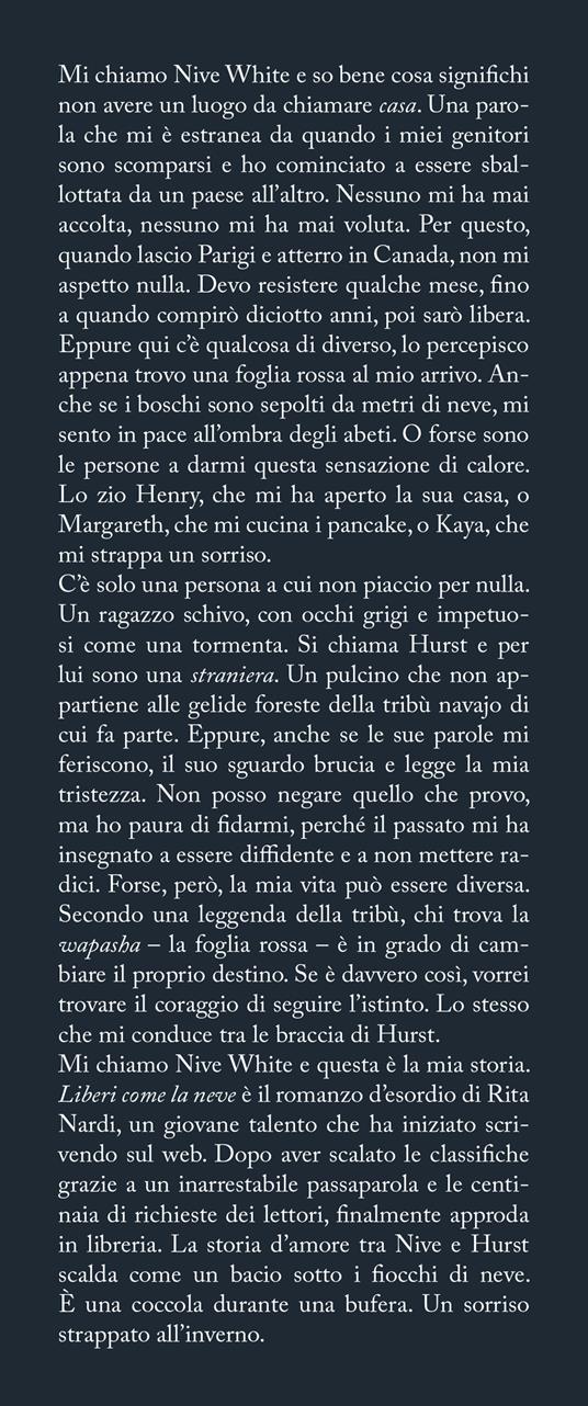 Il narratore di storie di Rita Nardi