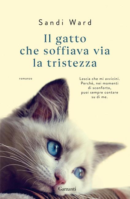 Il gatto si siede sui libri o giornali per un motivo ben preciso ed è  incredibile 