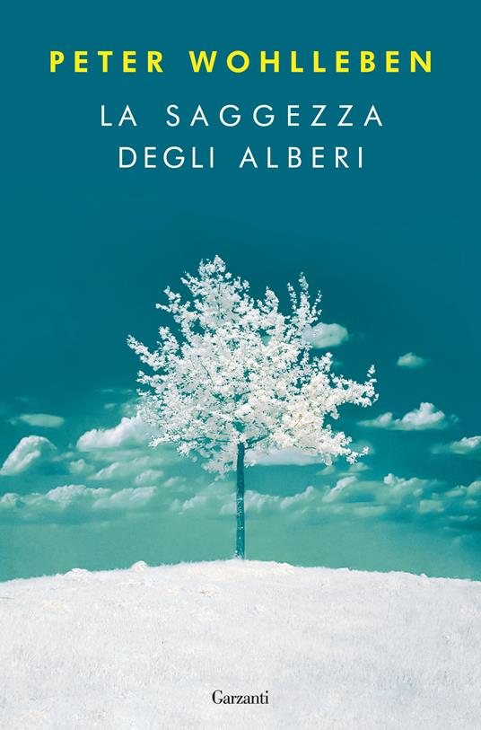 La saggezza degli alberi - Peter Wohlleben,Margaret Schneevoigt,Roberta Magnaghi - ebook