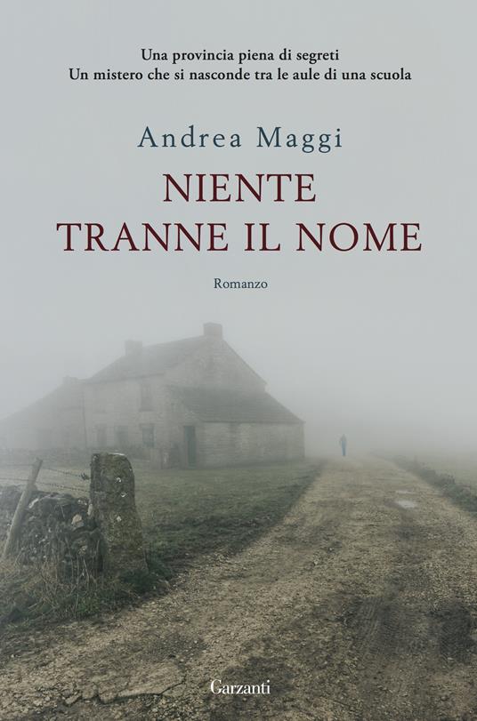 Niente tranne il nome - Andrea Maggi - ebook