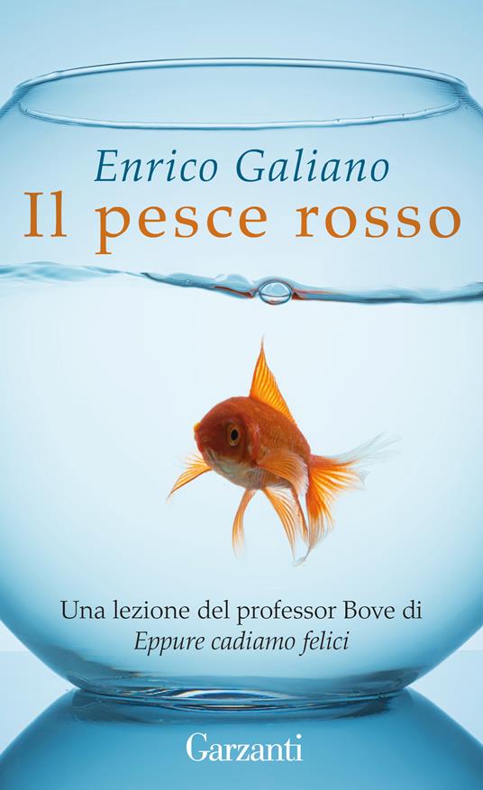 Una boccia per pesci con dentro un pesce rosso