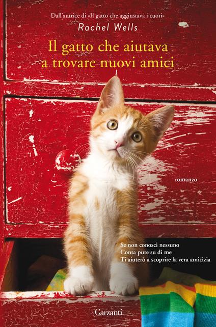 Il gatto che aiutava a trovare nuovi amici - Rachel Wells - copertina