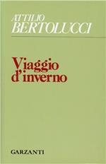 Viaggio d'inverno