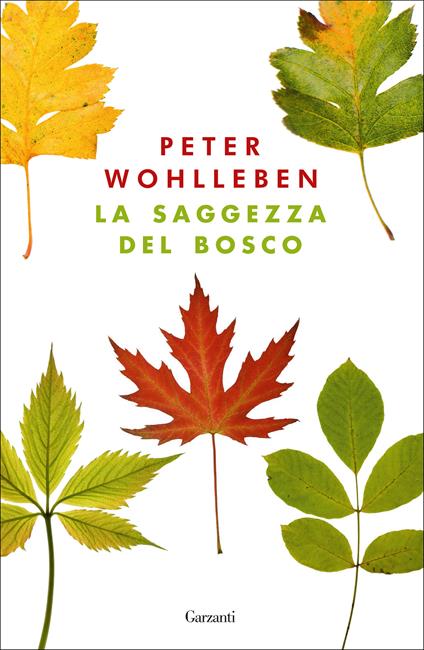 La saggezza del bosco - Peter Wohlleben - copertina