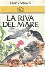 La riva del mare