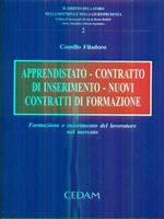 Apprendistato, contratto di inserimento, nuovi contratti di formazione. Formazione e inserimento del lavoratore nel mercato