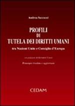 Profili di tutela dei diritti umani tra Nazioni Unite e Consiglio d'Europa