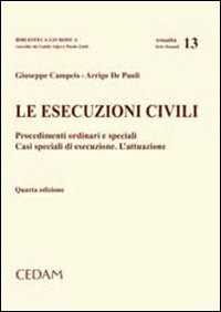 Le esecuzioni civili. Procedimenti ordinari e speciali. Casi speciali di esecuzione. L'attuazione