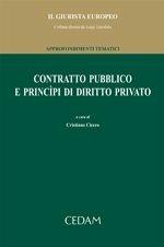 Contratto pubblico e principi di diritto privato