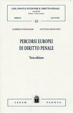 Percorsi europei di diritto penale