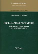 Obbligazioni pecuniarie. Struttura e disciplina dei debiti di valuta