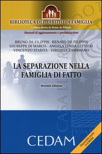 La separazione nella famiglia di fatto - copertina