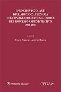 I principi vincolanti dell'adunanza plenaria del Consiglio di Stato sul codice del processo amministrativo (2010-2015) - copertina