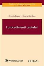 I procedimenti cautelari